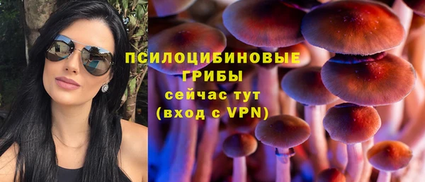 первитин Краснослободск
